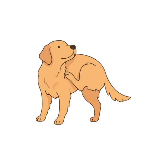 Itching and scratching