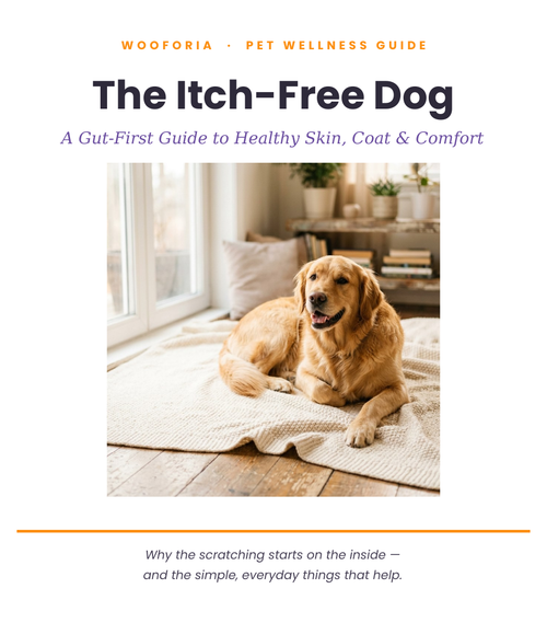The Itch-Free Dog Guide (eBook)