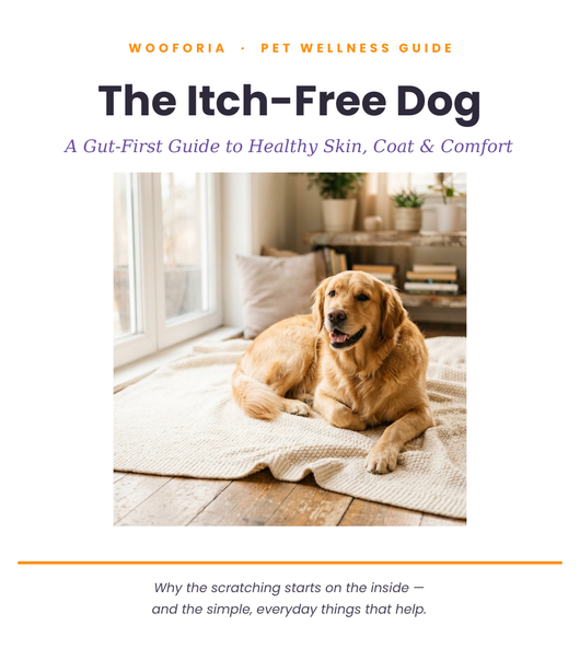 The Itch-Free Dog Guide (eBook)