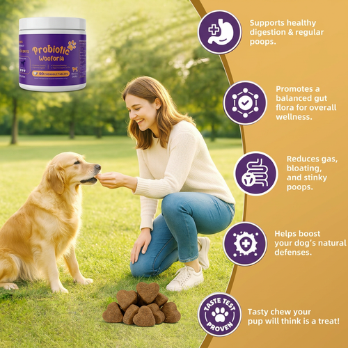 8-In-1 Multivitamin Soft Chews for Dogs, Probiotics, Gut & Immune Support, Pork Fla